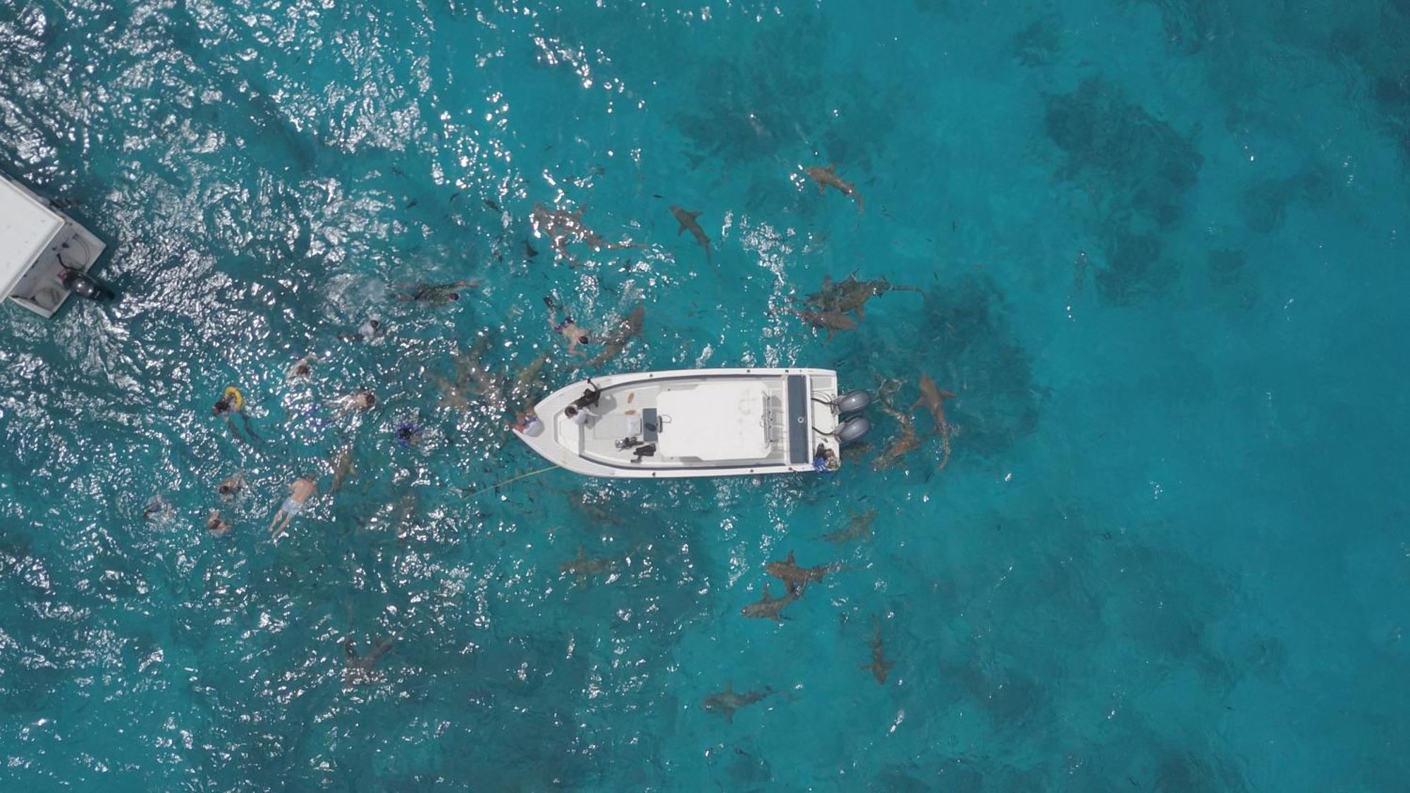 فندق Ocean Pearl Maldives At Gulhi Island المظهر الخارجي الصورة