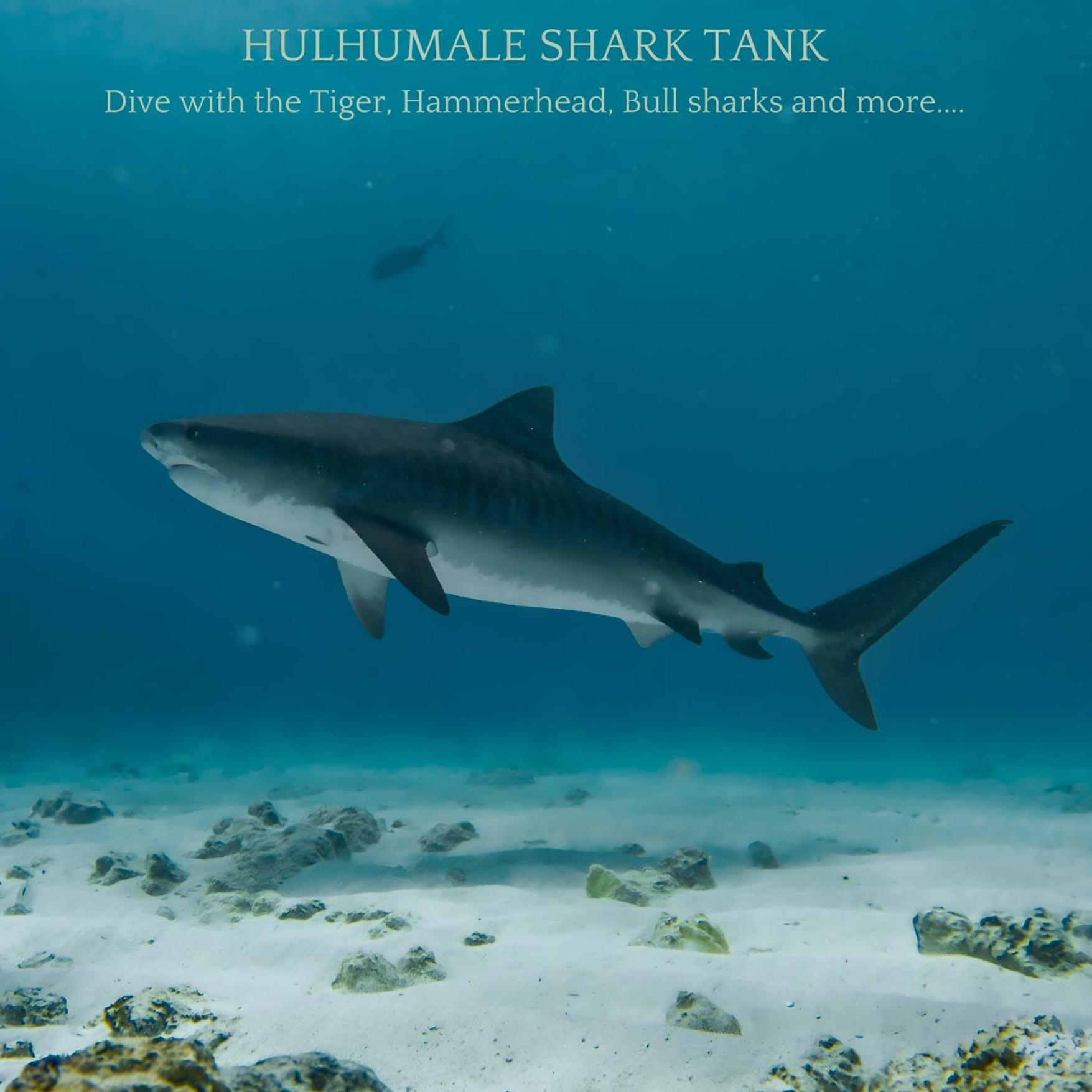 فندق Ocean Pearl Maldives At Gulhi Island المظهر الخارجي الصورة